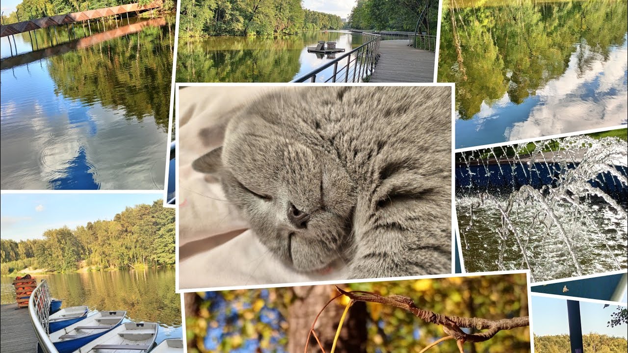 Мой АСМР 9-15 сентября🥰💕