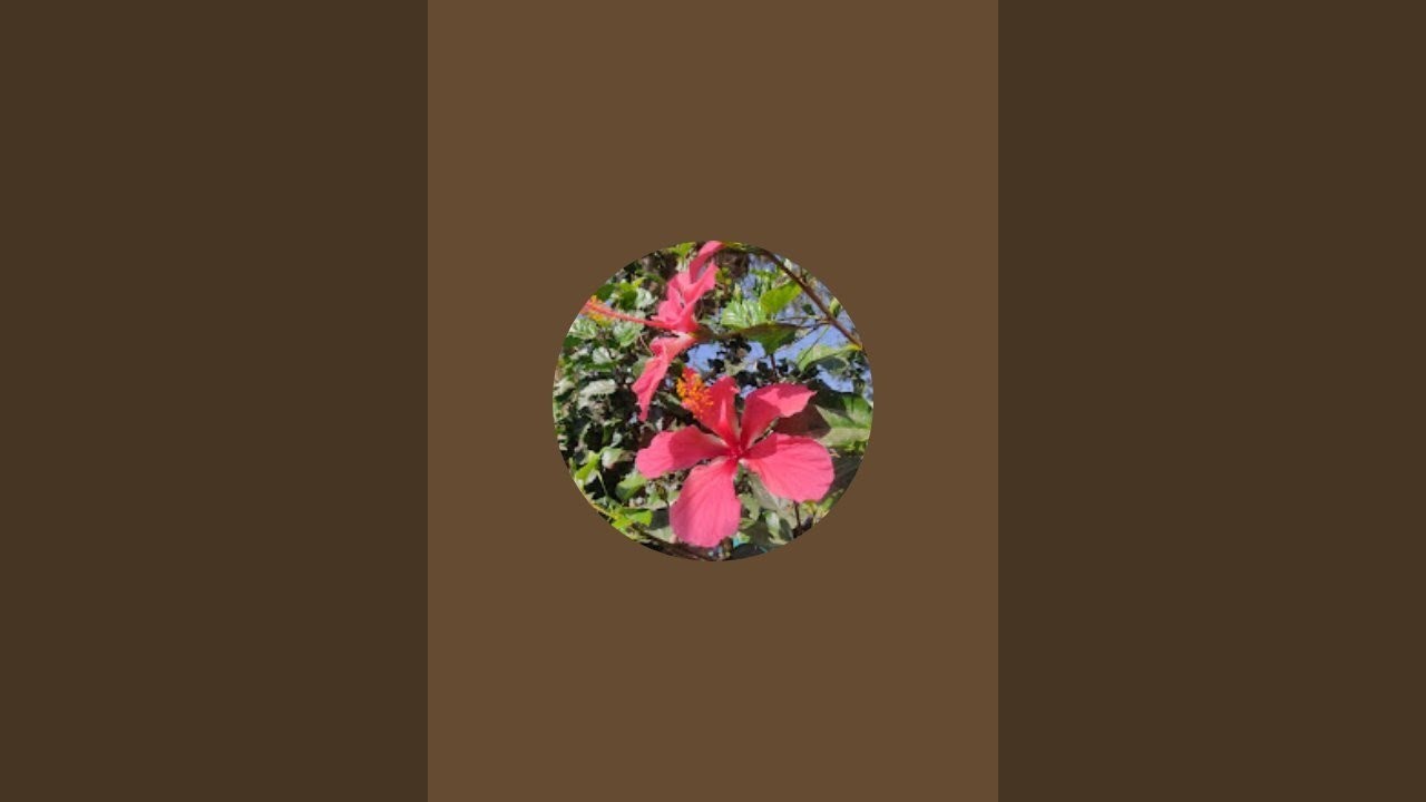 Garden artist Tarun