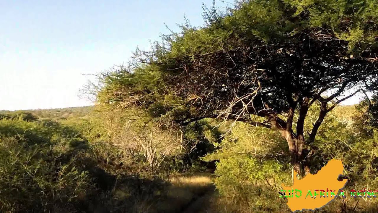 Zuid-Afrika: Somkhanda Game Reserve