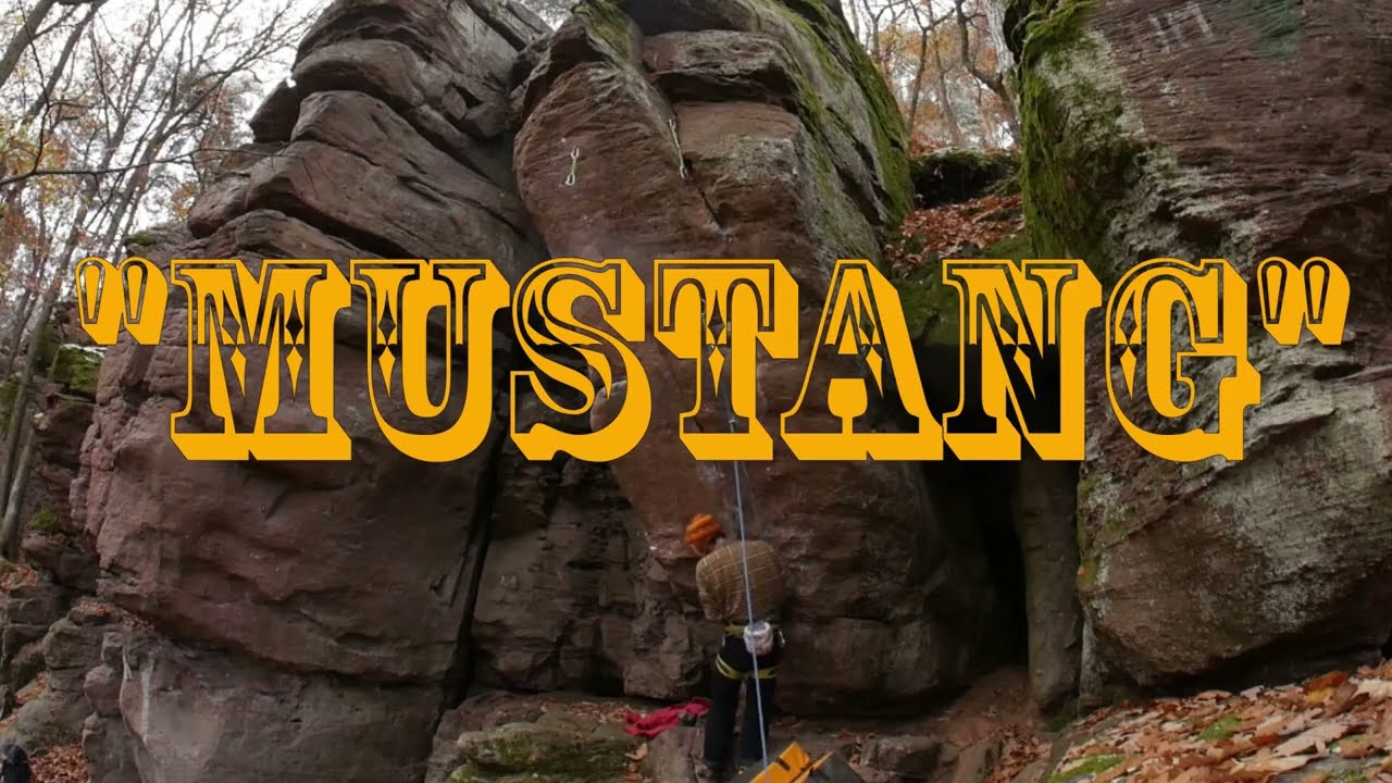 Mustang F.A (8b ?) - Vieux Gueberschwihr