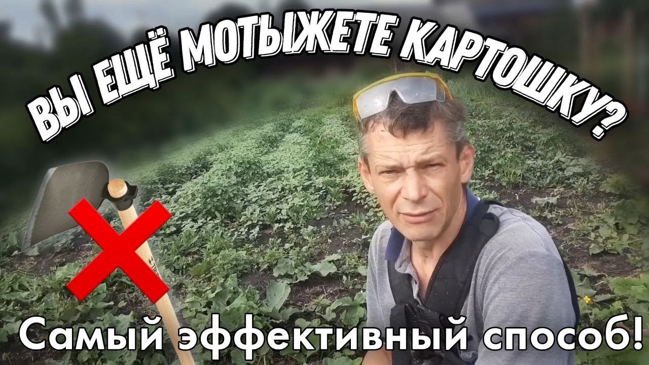 Прополка КАРТОШКИ Самый Простой и Быстрый Способ. Сотка за 10 минут.
