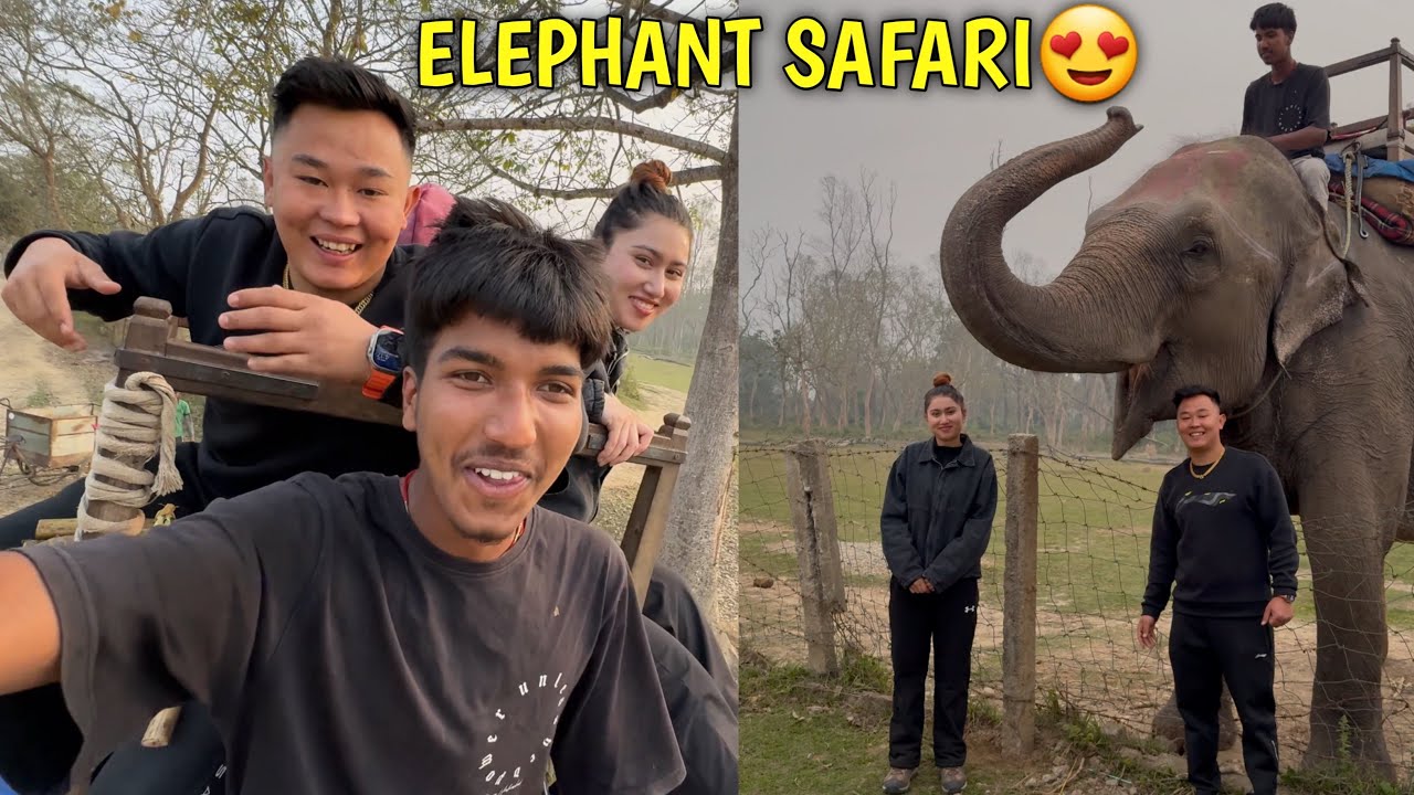 CHITWAN MA ELEPHANT SAFARI😍 WITH ALISHA / ​⁠@rajkumarthapamagar32