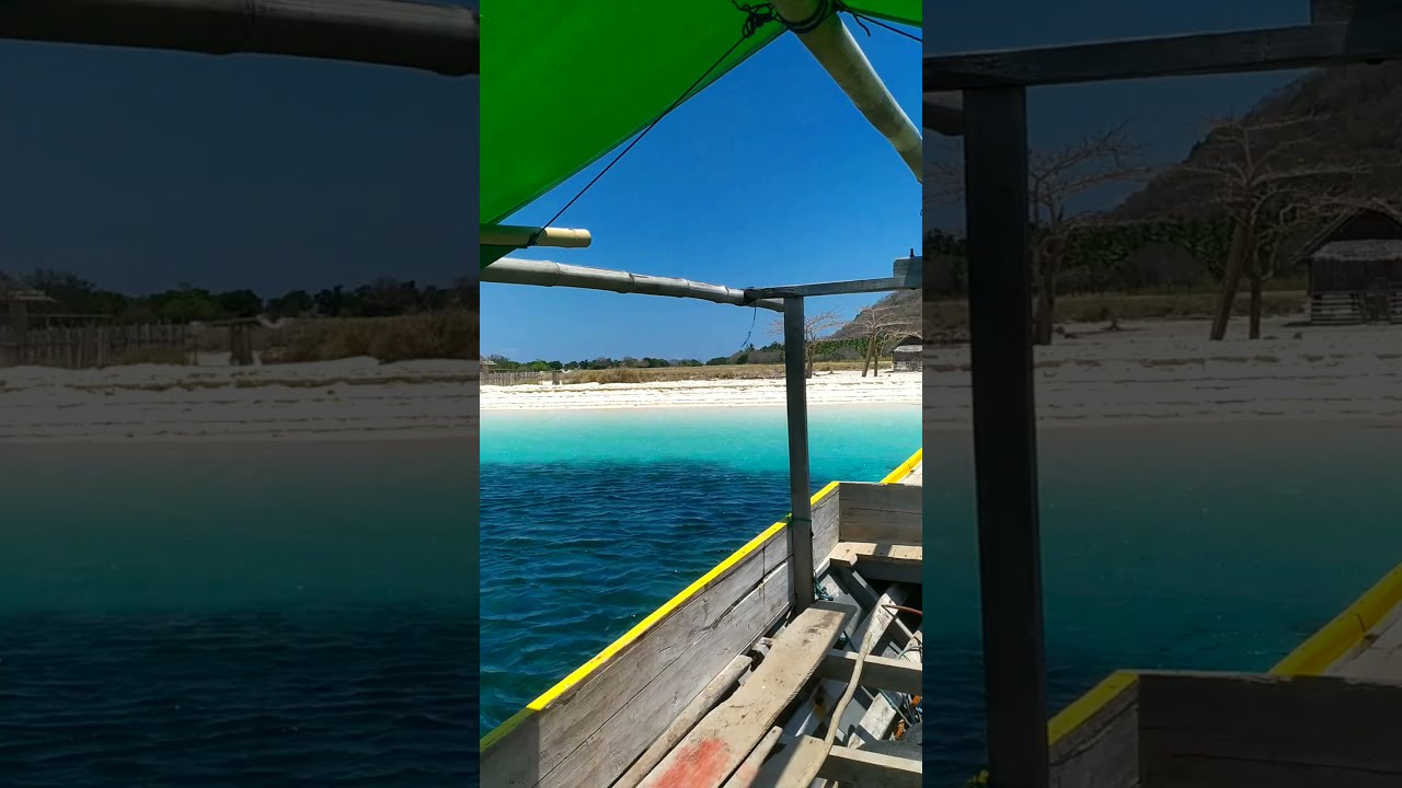 Pulau Babi, Maumere-Flores #Shorts