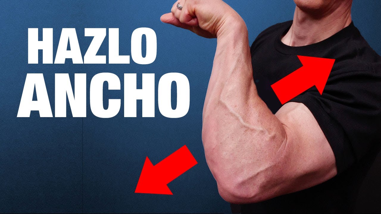 Cómo Obtener Antebrazos MÁS ANCHOS ¡SIEMPRE FUNCIONA!