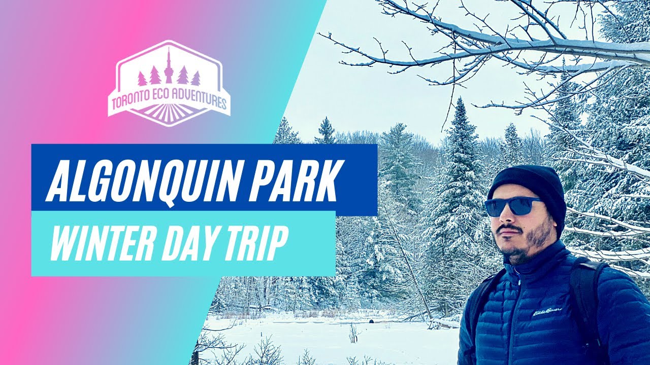 Winter in Algonquin Park