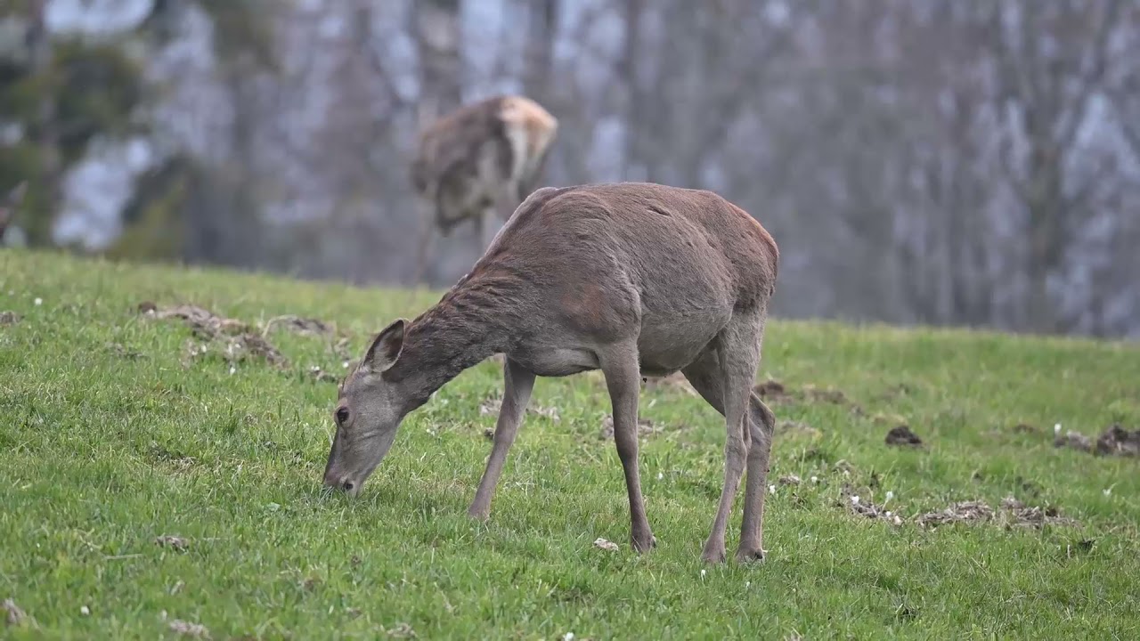 MAGASA - Il territorio della meraviglia sul Lago di Garda