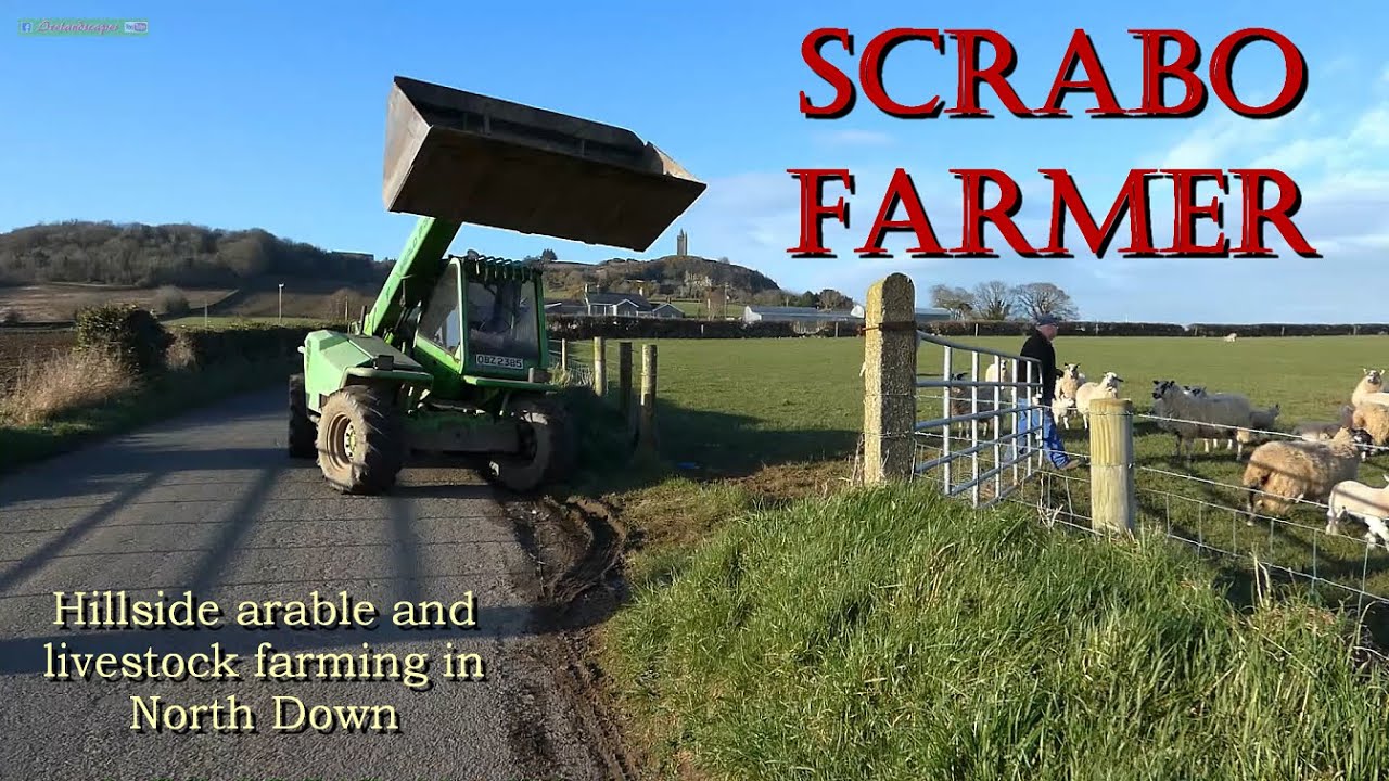 Scrabo Farmer Interview - N Irish Farming Scenes