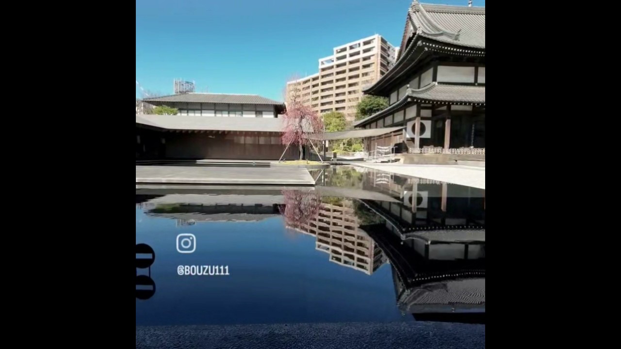 瑞聖寺 #白金台#瑞聖寺