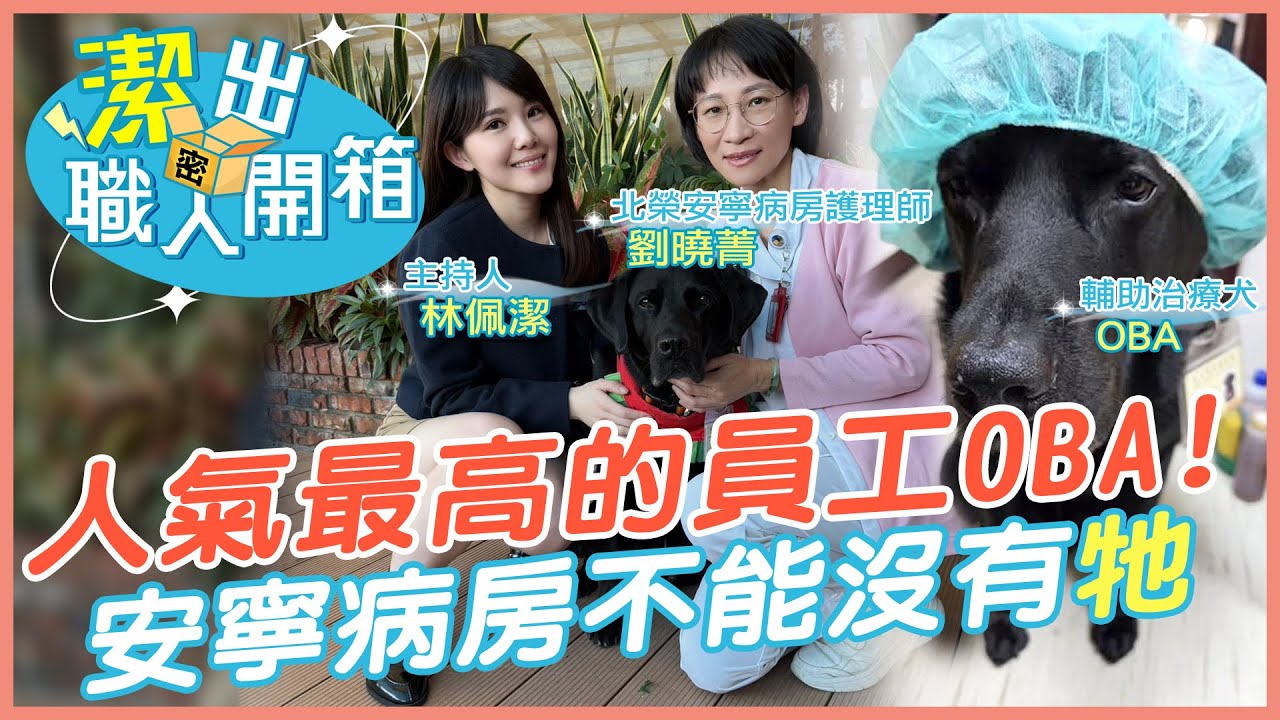 【潔出職人開箱】台北榮總人氣最高的員工! 安寧病房不能沒有"牠"｜輔助治療犬"OBA" 為病患趕走憂傷 