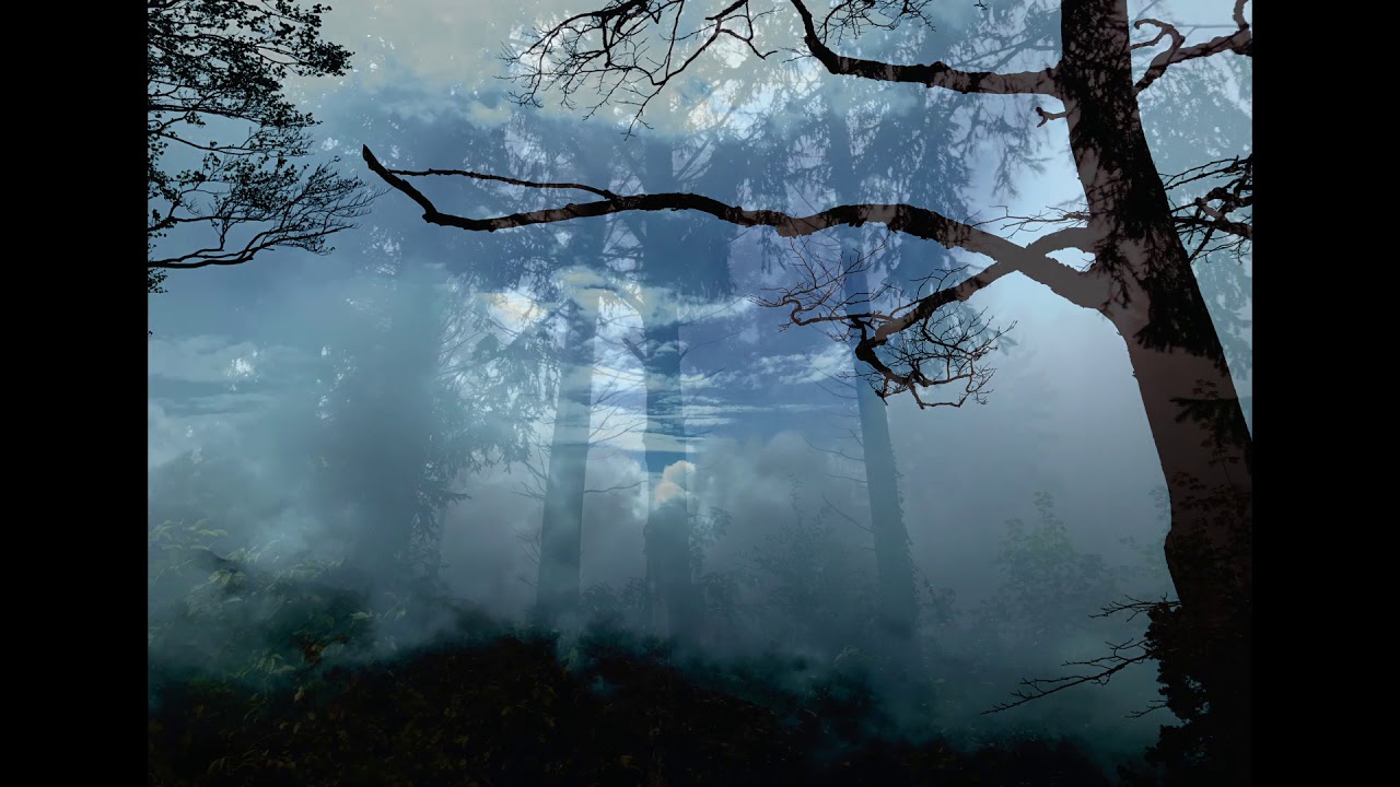 Dark Ambient - Vinterriket Book - Restzwielicht - Impressionen eines Wanderers VI - preview