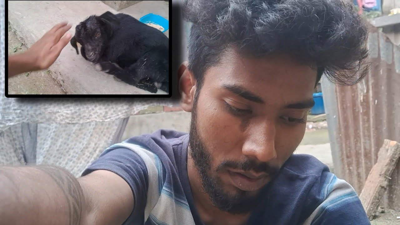 bakaree ko is haalaat par main nahin dekh paoonga😭