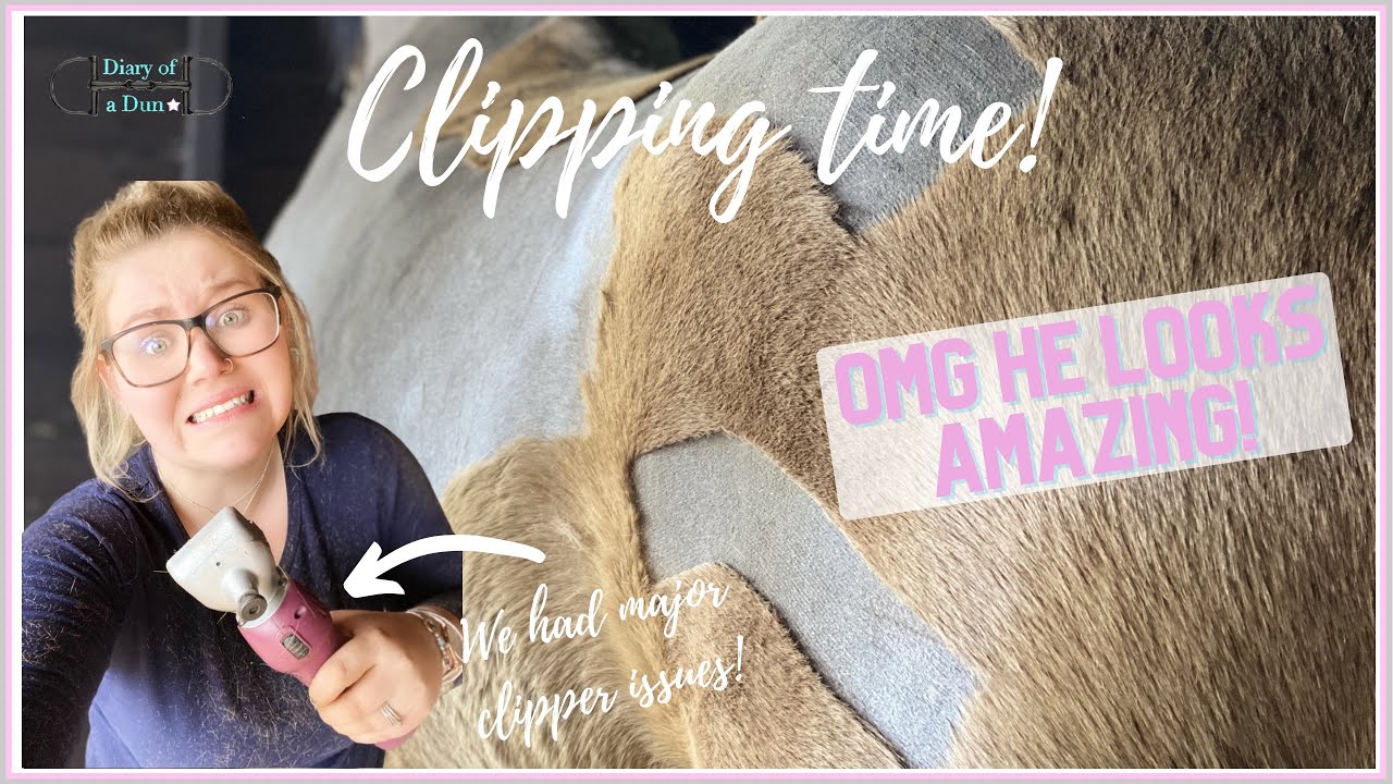 CLIPPING MY SUPER HAIRY HORSE | Omg! The clippers broke half way through! | Diary Of A dun