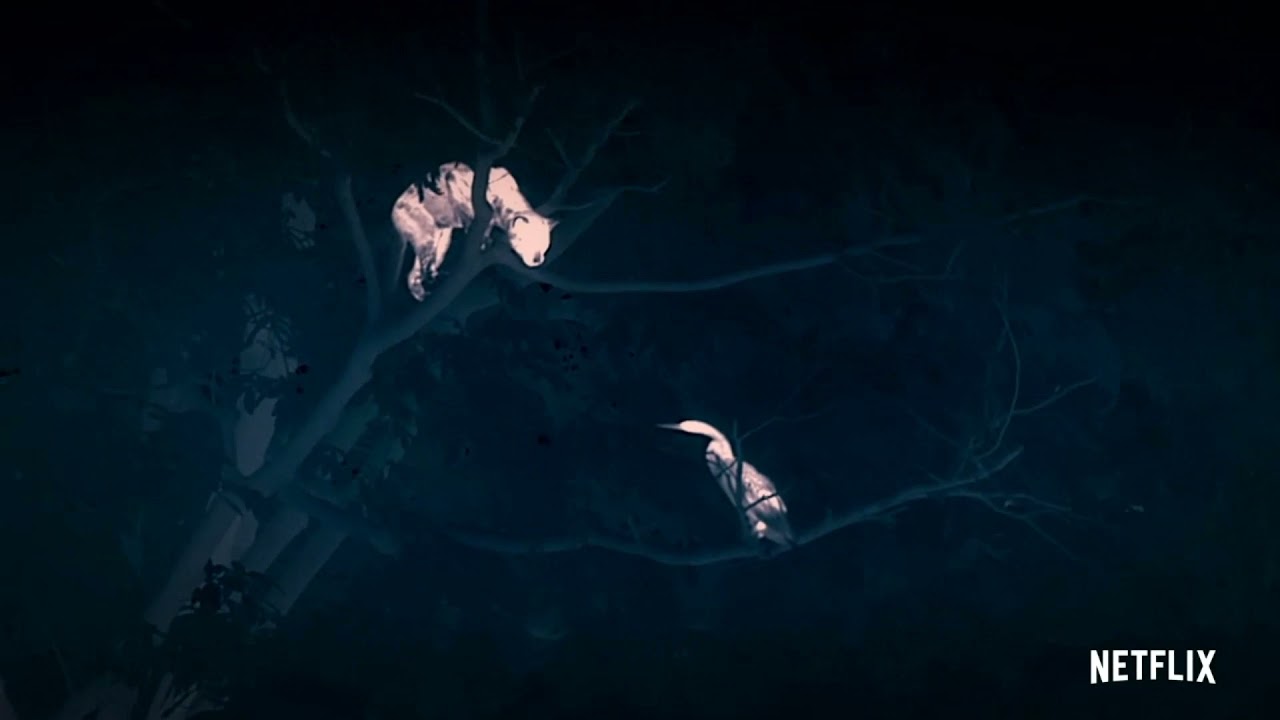 Entertainment on High, Pick of the week #1,