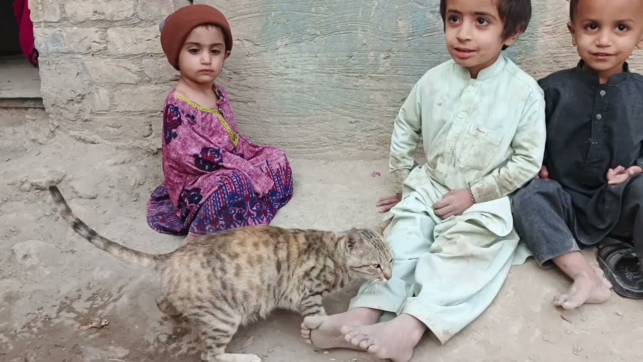 Four child one cat in village walidlife 