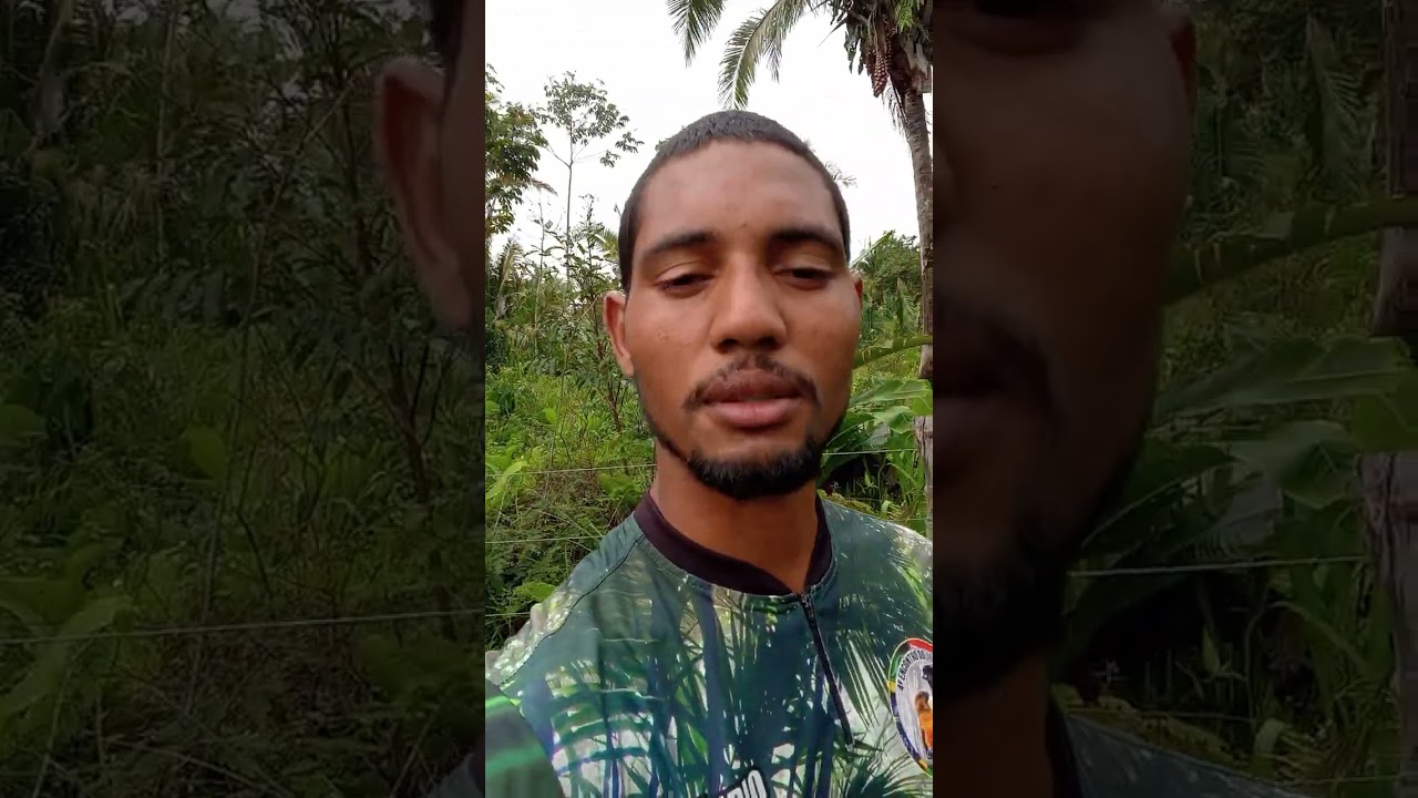 Deixado meu curió preto louco 