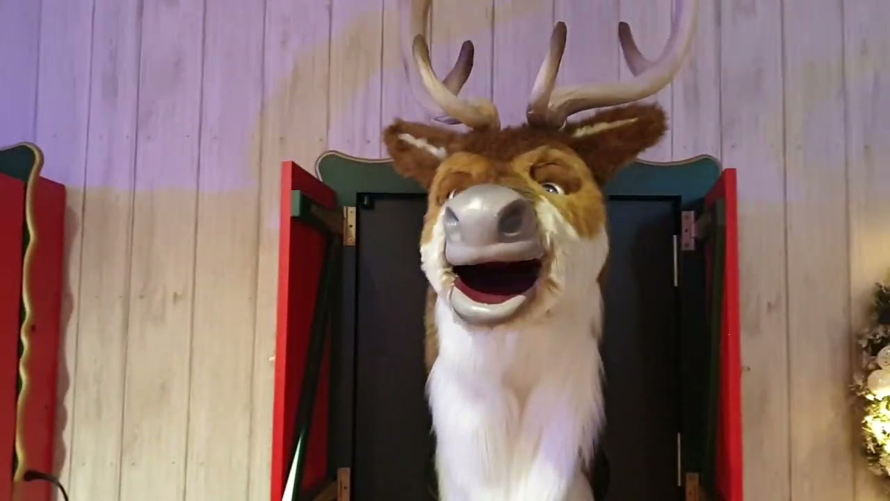 Reindeer  at Housing units