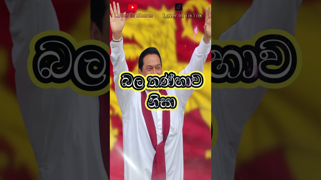 Mahinda Rajapaksa 👿 | හොරු අතරට වැටුනේ ඔබ විසින්මයි 🥺🥺 #mahindarajapaksa #pohottuwa #shorts