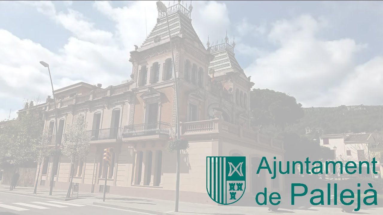 Sessió plenària ordinària dijous 31 de juliol de 2025