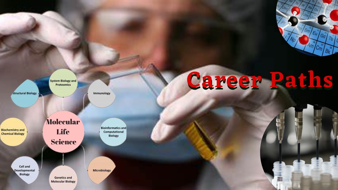 Molecular Life Sciences |Careers in Life Sciences |Studying at FSU Jena