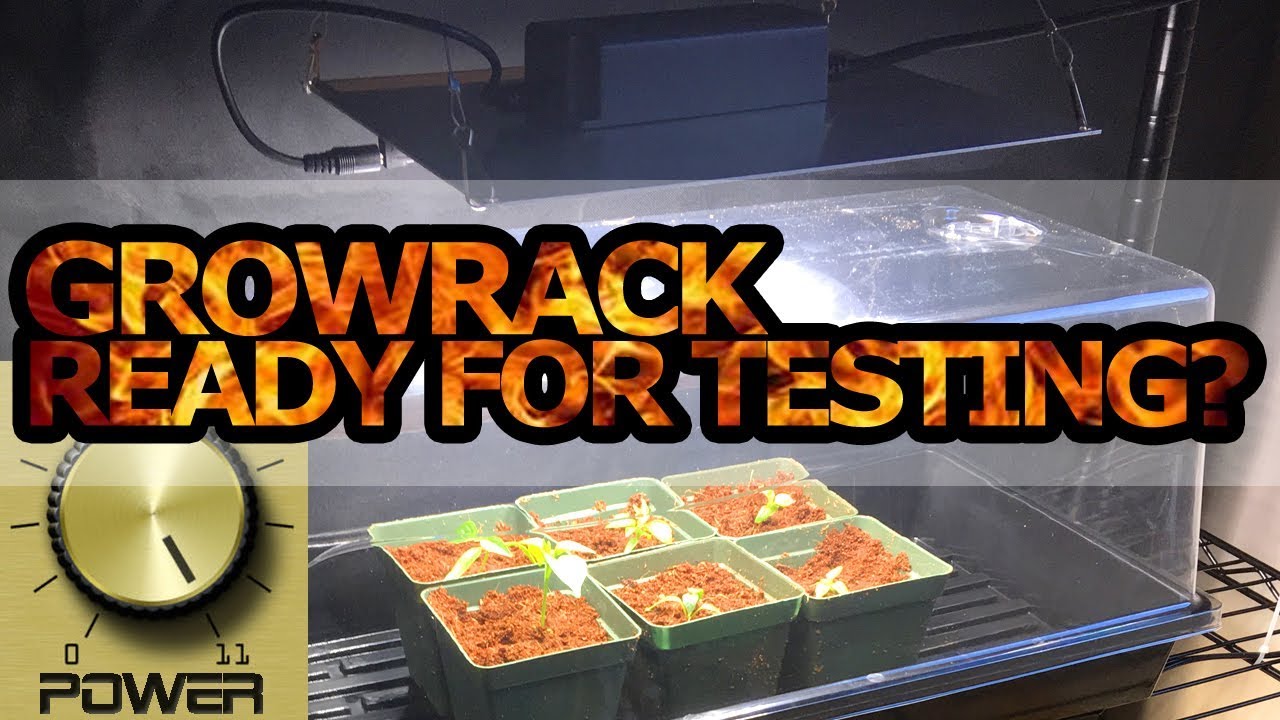 Grow Rack Ready For Action? - HLG 65 & Nuke Juice