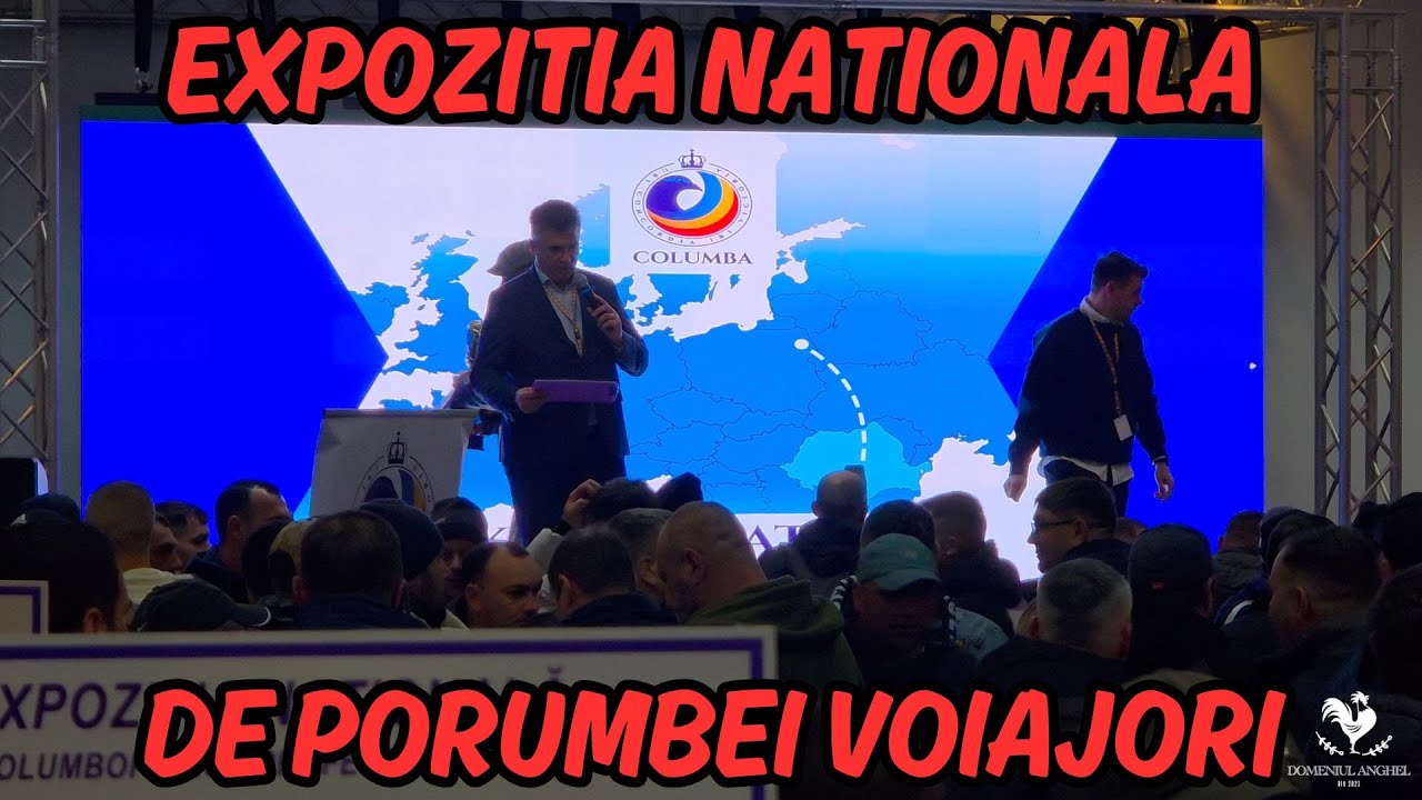 EXPOZITIA NATIONALA DE PORUMBEI VOIAJORI