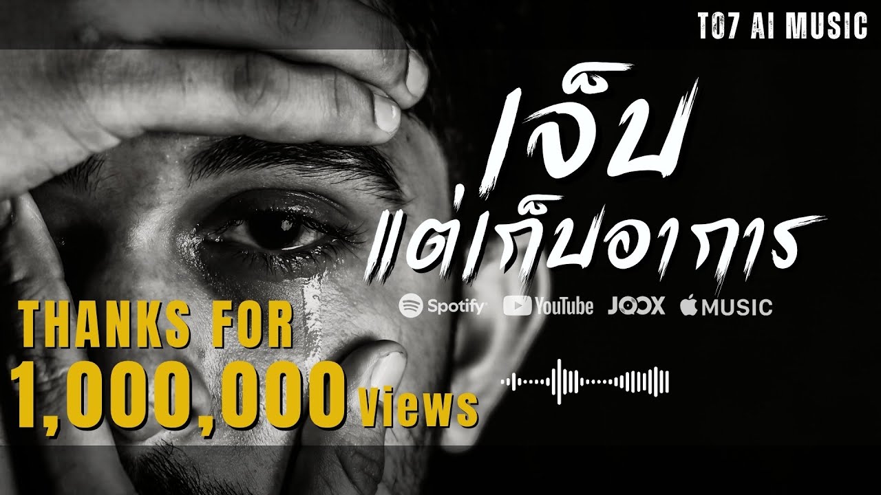 เจ็บแต่เก็บอาการ | T07_Ai-Music | [Official Audio]