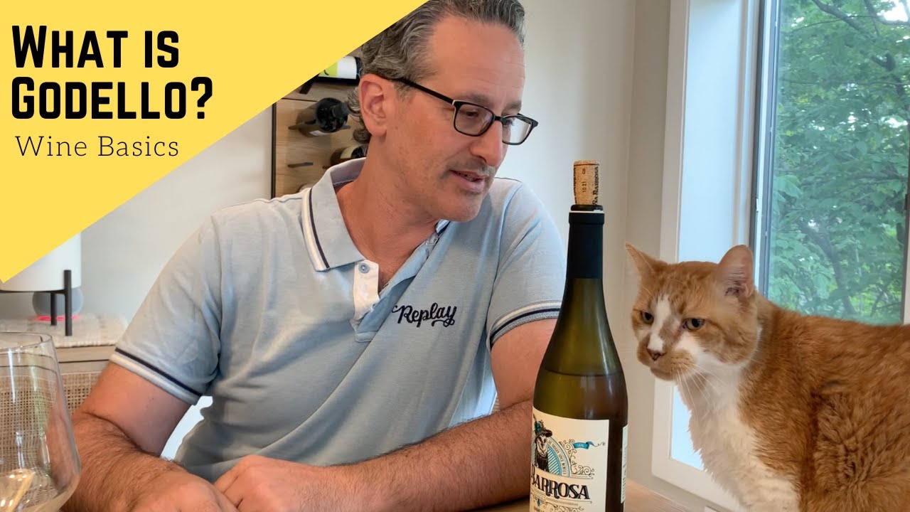 What is Godello?  It Is Wine You Should Drink!! | Wine Basics