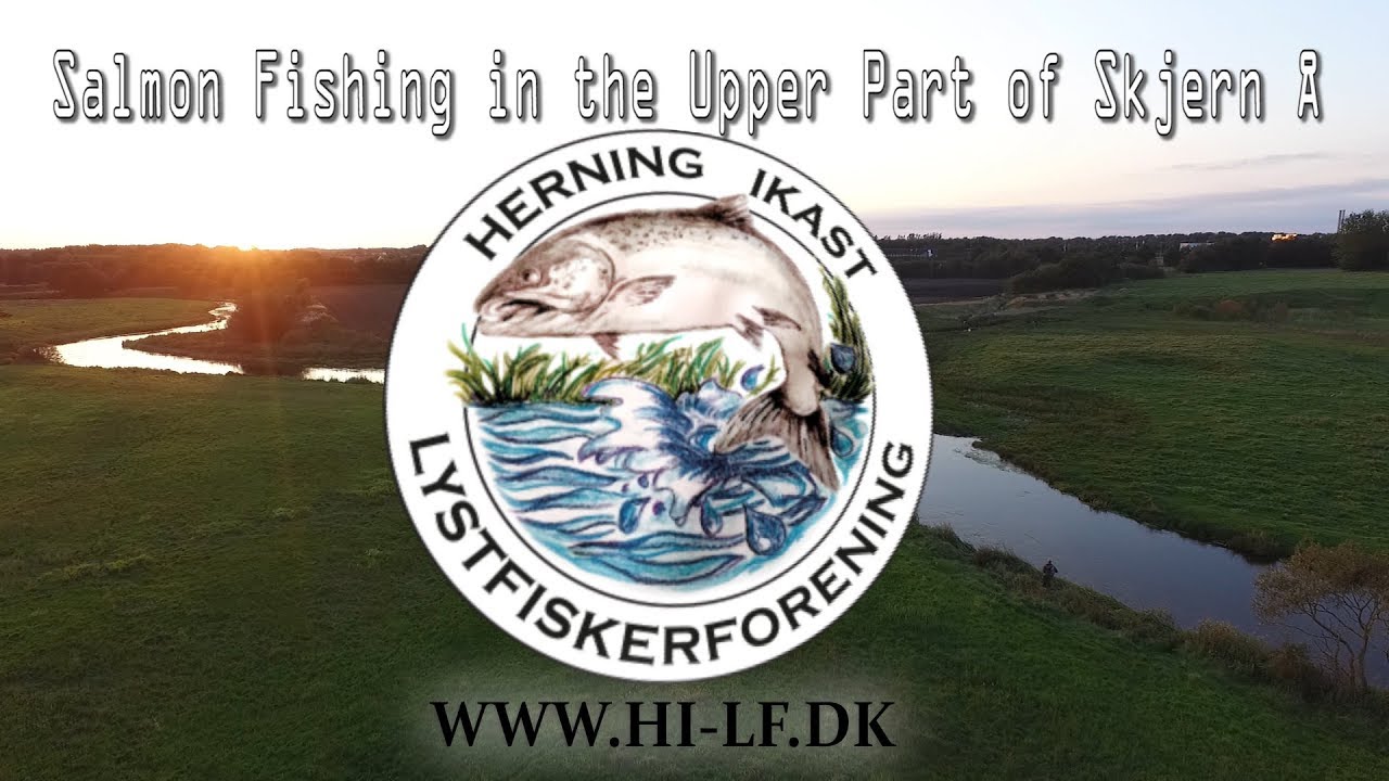 Salmon Fishing in the Upper Part of Skjern Å