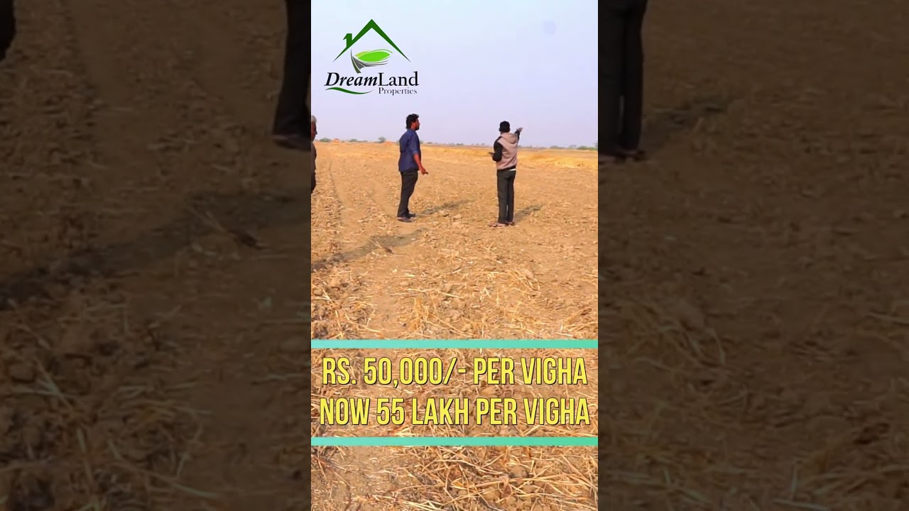 Dholera Main Rs.50K Vigha Jamin Abhi 55 Lakh Per Vigha....