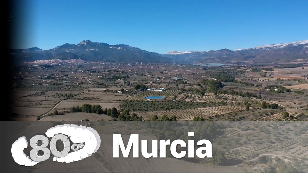 80 cm - Murcia