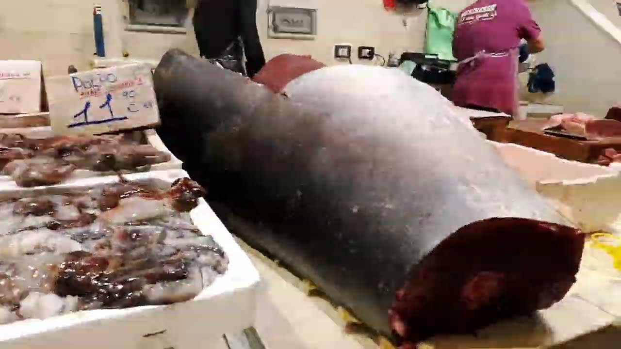 Mercato Comunale di San Benedetto a Cagliari interni di stallo del pesce  e frutti di mare Sardegna