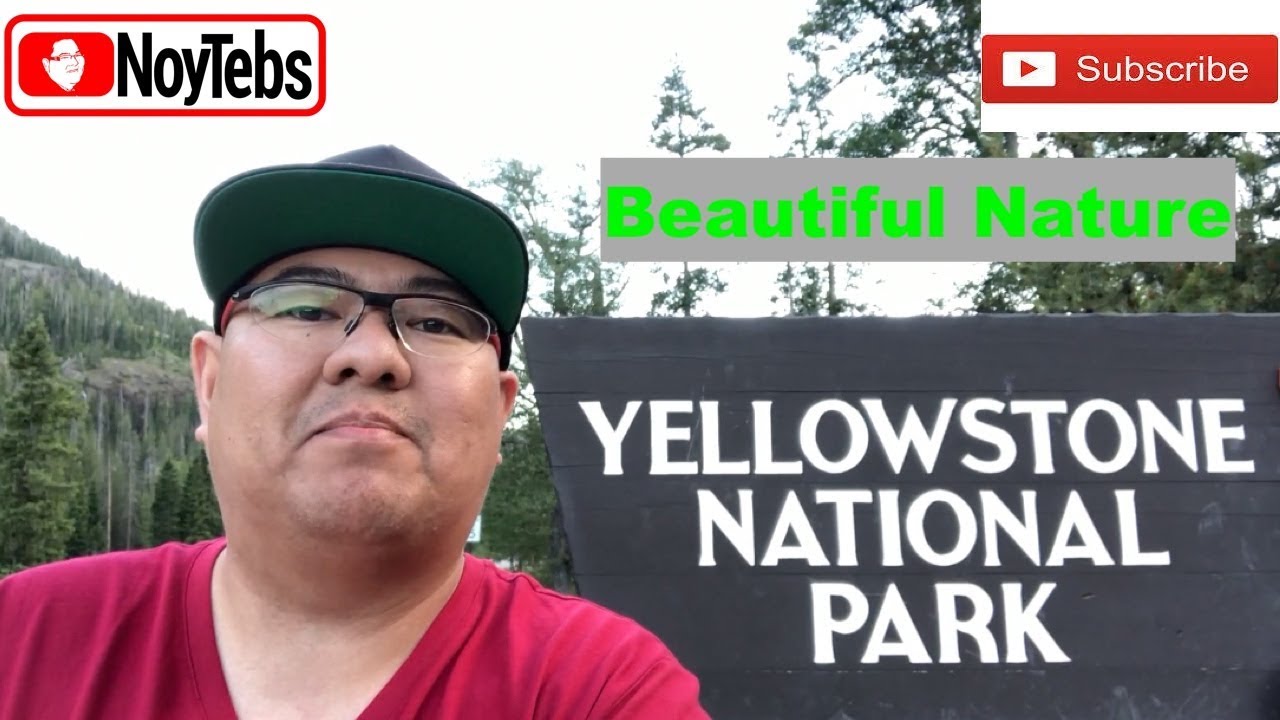 YELLOWSTONE NATIONAL PARK TOUR