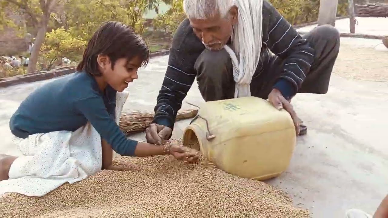 गेहूं को साफ कैसे रखें मिला दे यह दावा सालों साल तक गेहूं में एक भी कीड़ा नहीं लगेगा