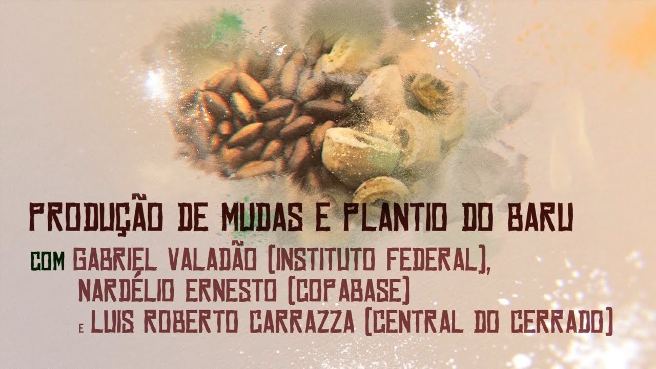 Módulo Baru - Produção de mudas e Plantio do Baru