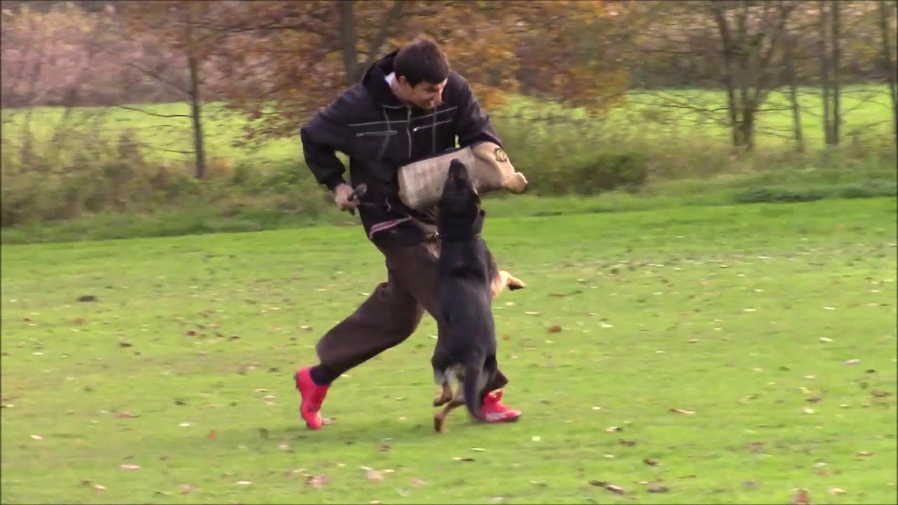 Honory Barnero - protection - 11/2019