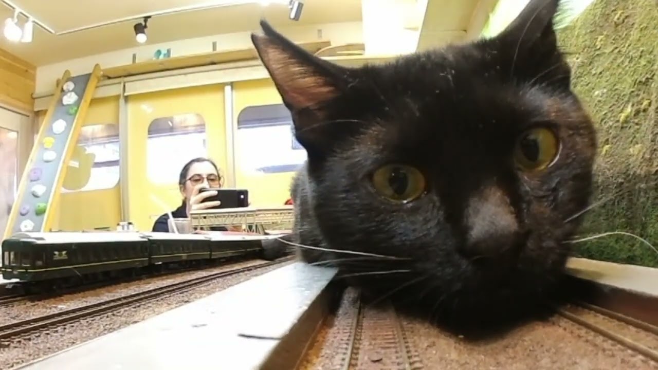 Chanel &Meme has grown up!Tuesday's diorama restaurant also had a safe train ride.