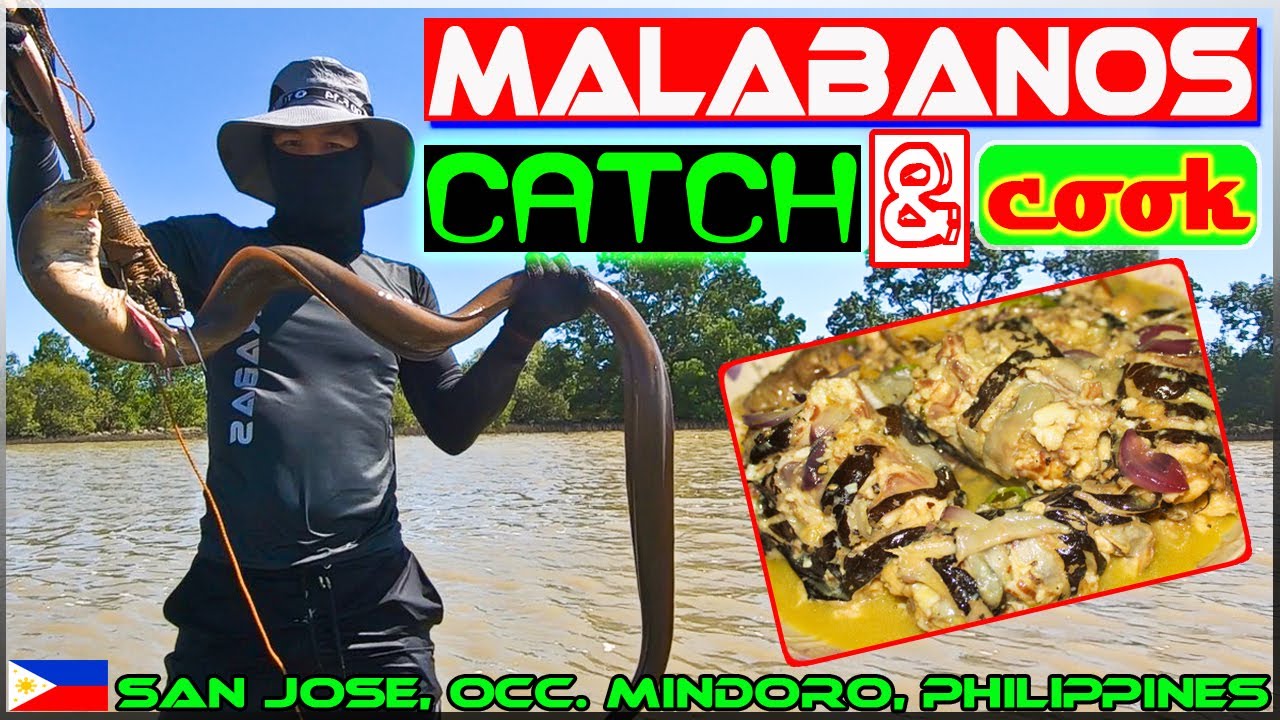 EP34 - Malabanos (Eel) Catch and Cook