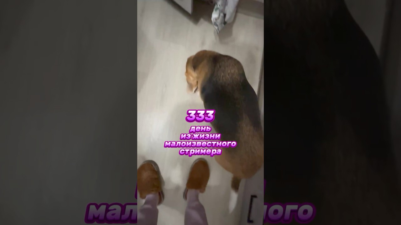 333й день из жизни малоизвестного стримера 