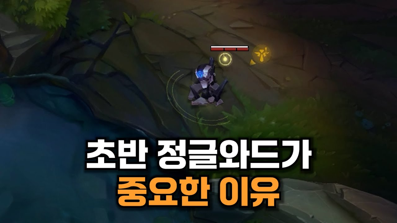 정글유저분들은 와드 함부로 쓰지마세요