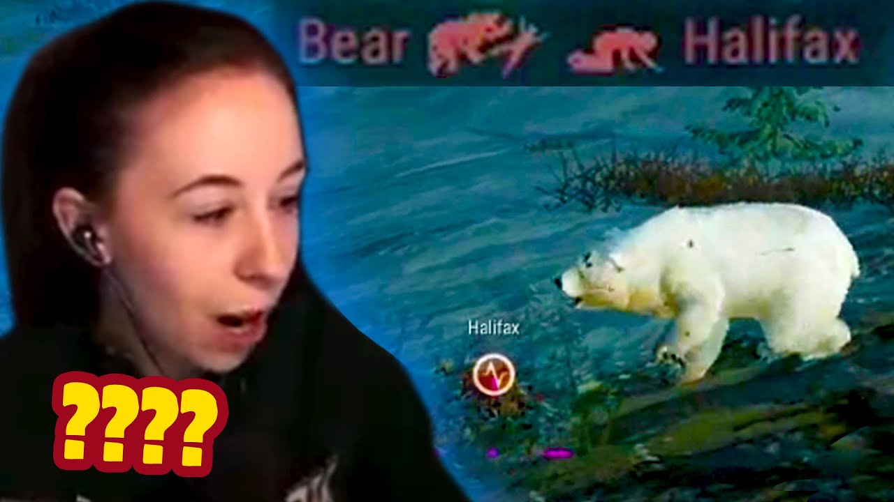 BEARS IN PUBG?! 😂
