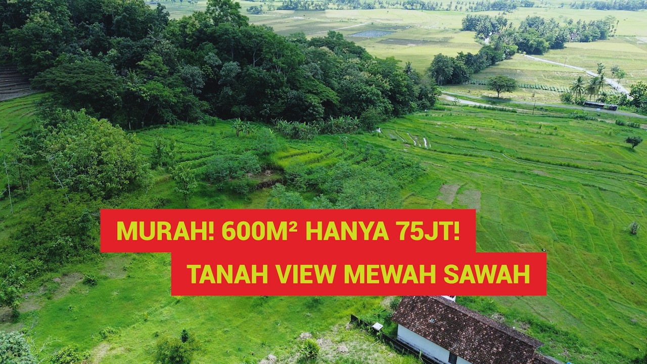 Murah! Luas 600m² Harga 75 Juta! View Sawah Dan Bukit, Dekat Villa Dan Wisata Kuliner Nanggulan