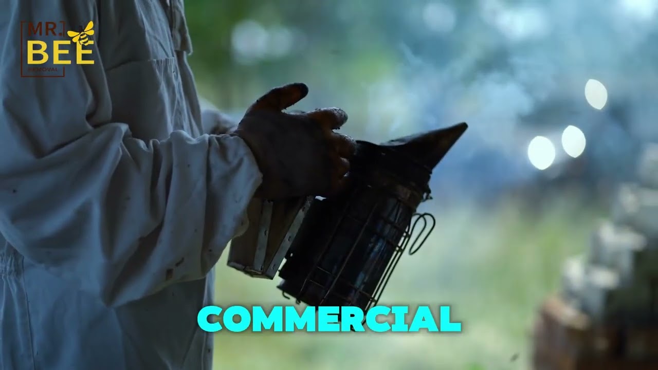Professional Bee & Wasp Removal Services | Safe & Fast Pest Control