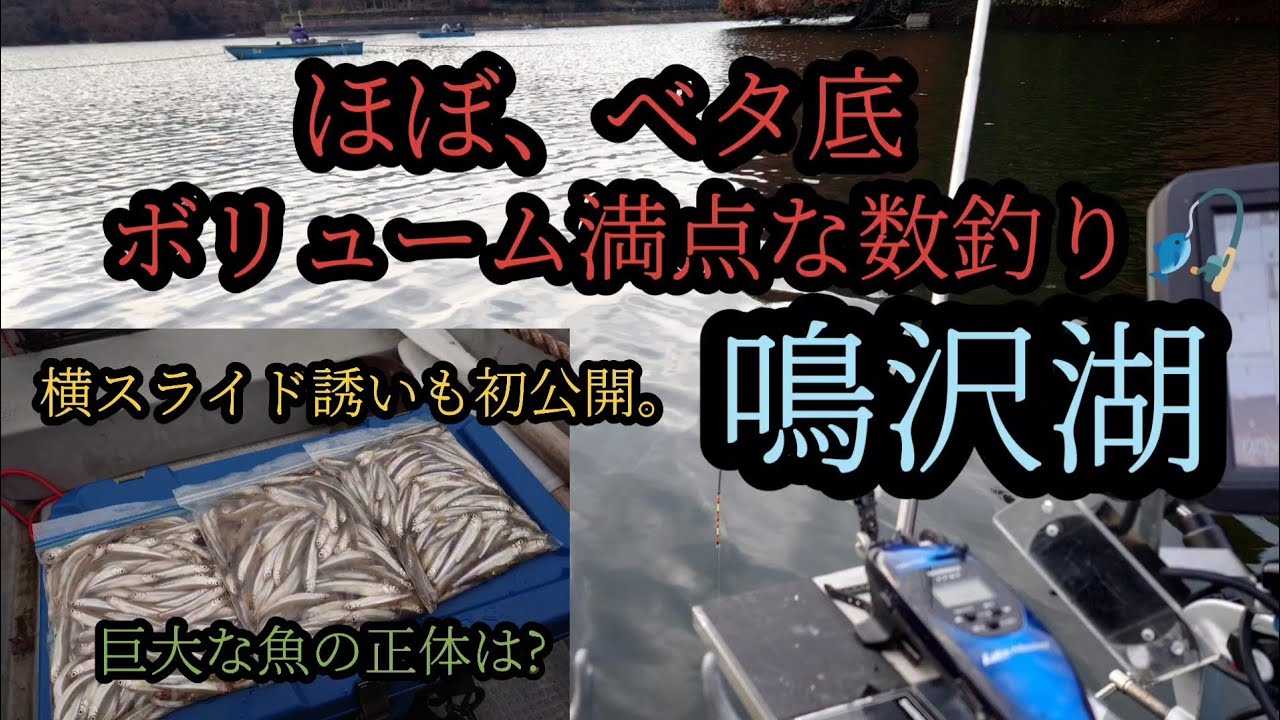 ほぼベタ底、良型揃い。鳴沢湖攻略!!