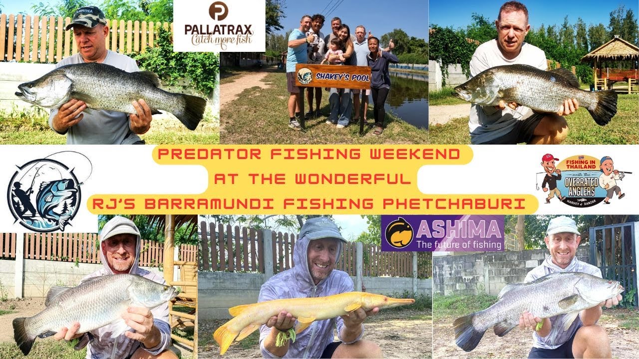 The Overrated Anglers - RJ's Barramundi Fishing, Bang Khrok, Phetchaburi  - 15th & 16th November 025