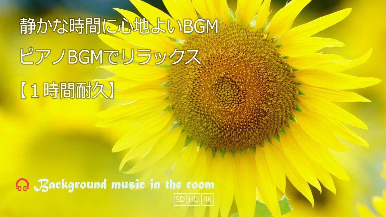 静かな時間に心地よいBGM｜夏の花 自律神経に優しい癒しの音楽ピアノBGM
