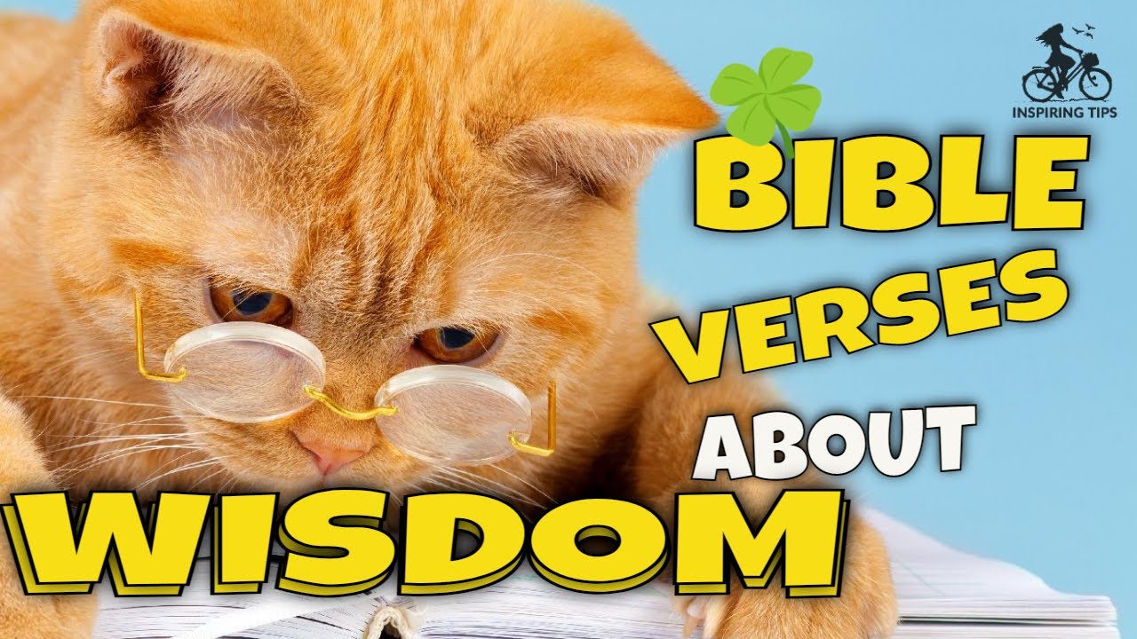 Bible Verses About Wisdom