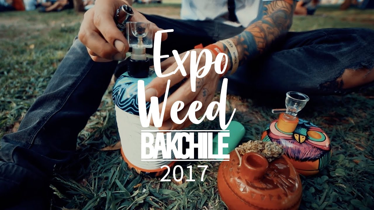 Bak Chile Expoweed 2017 xsebastien