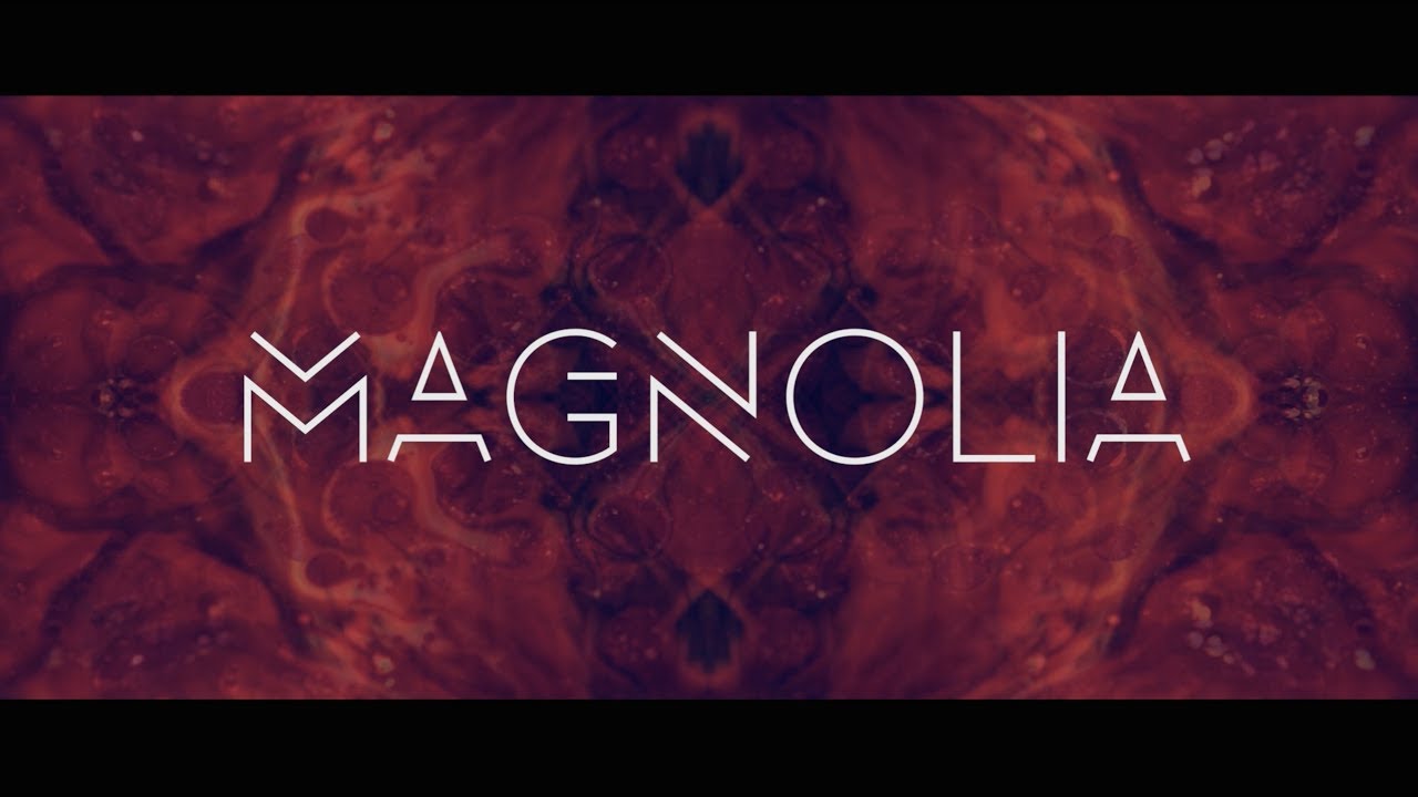 Vault 51 - Magnolia