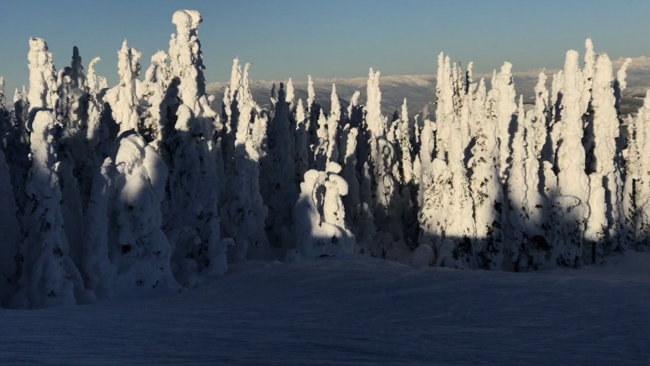 Skiroadtrip 2017