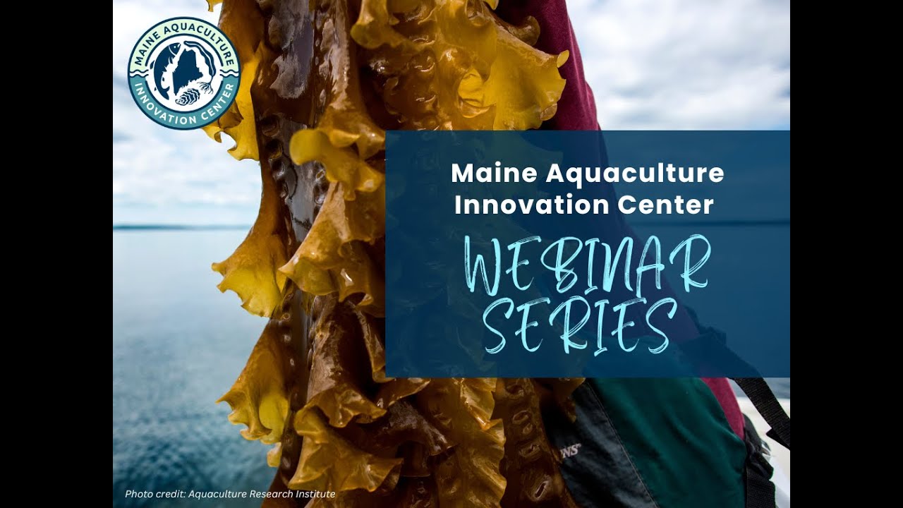 MAIC, JANUARY 2025: Aquaculture Leasing and Licensing in Maine